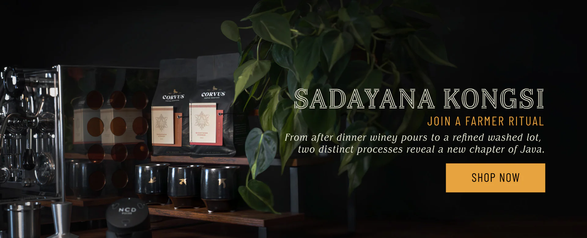 Rare Coffee, Artfully Presented